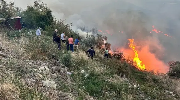 Hatay'da ormanda başlayan yangın evlere sıçradı