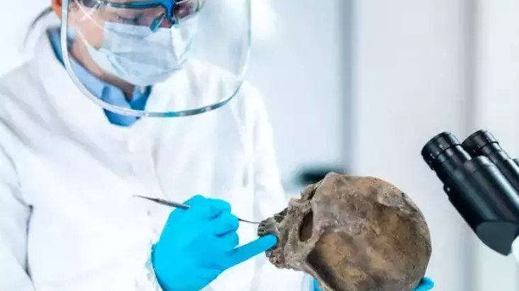 Yeni Araştırma, İnsan Soyunun Tükenişini ve Neandertallerin Rolünü Ortaya Koydu